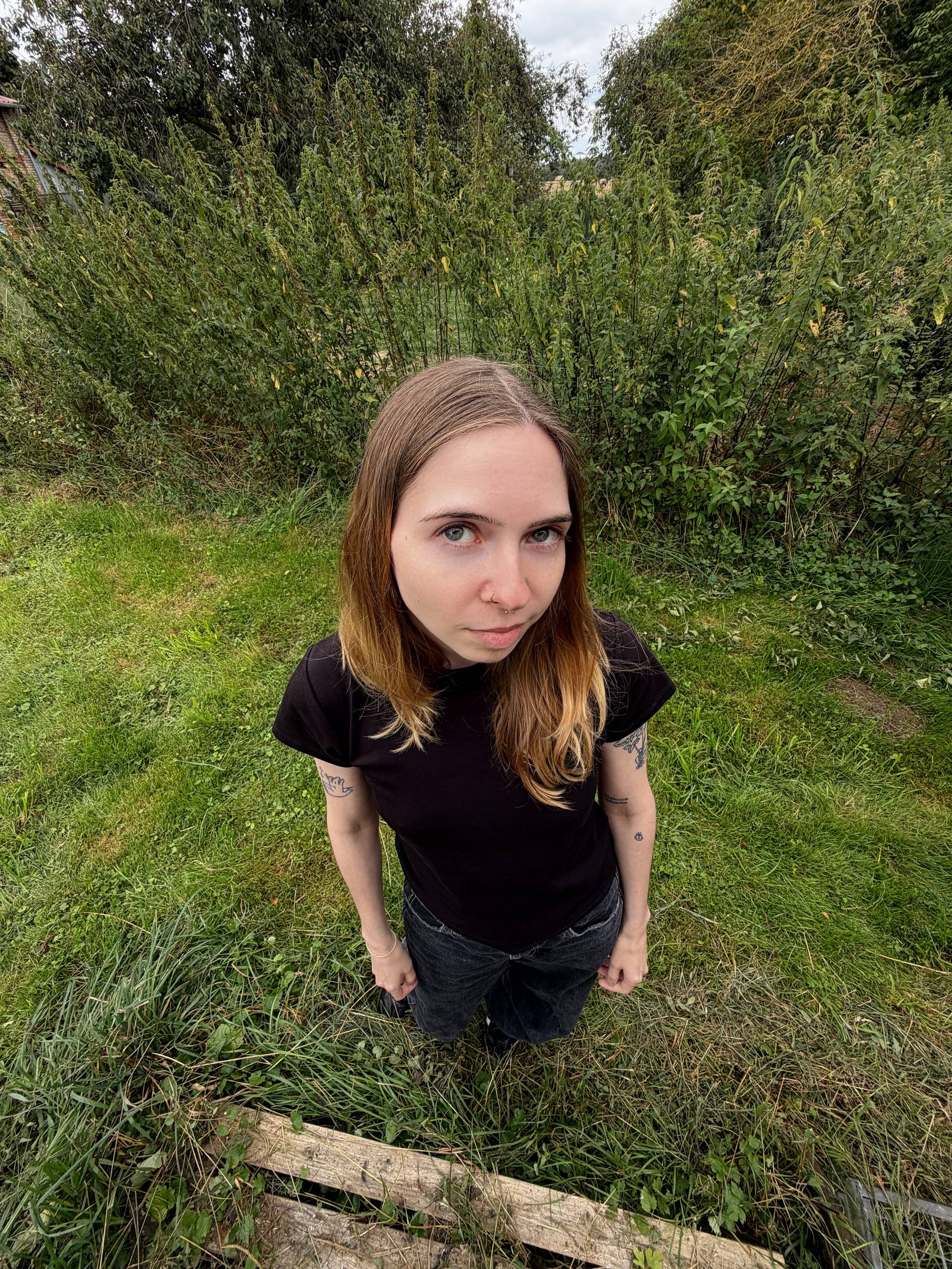 Camille Vogelperspektive