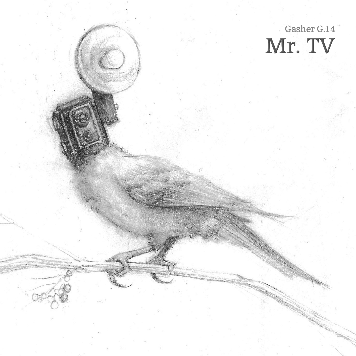 Cover: Mr. TV
